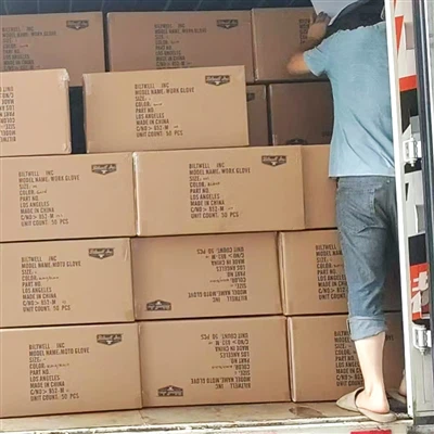 دستکش های دوچرخه سواری تناسب اندام راحت آماده حمل و نقل